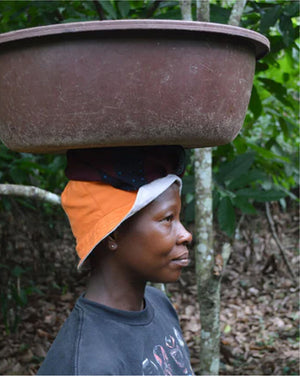 A woman balancing a large bowl on her head while walking through a cocoa plantation