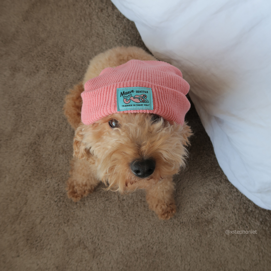 Mermaid Beanie