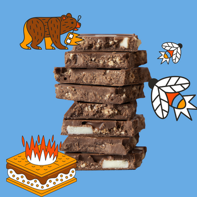 Cabin S'mores